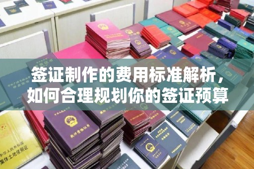 福清签证制作的费用标准解析，如何合理规划你的签证预算