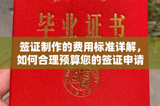 福清签证制作的费用标准详解，如何合理预算您的签证申请成本